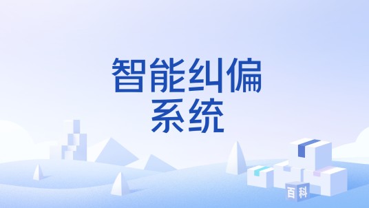智能纠偏系统