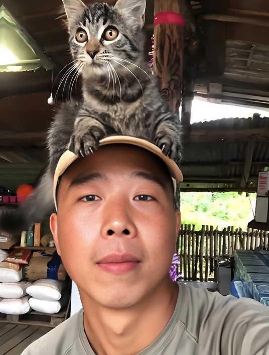 半只狐狸