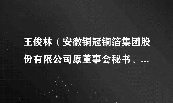 王俊林（安徽铜冠铜箔集团股份有限公司原董事会秘书、财务负责人）