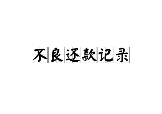 不良还款记录