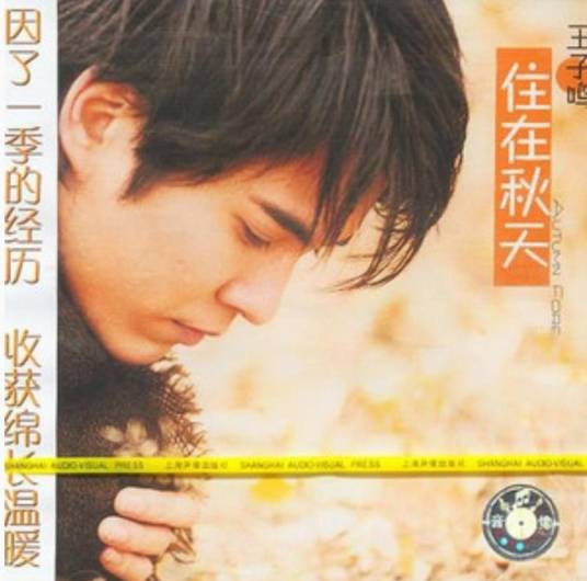 大火（王子鸣《住在秋天》专辑中的歌曲）