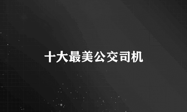 十大最美公交司机