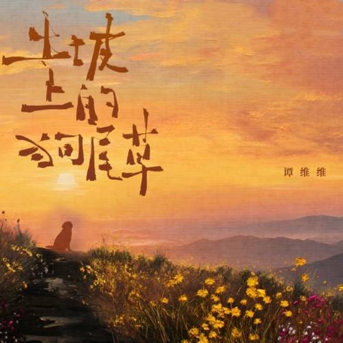 土坡上的狗尾草（谭维维演唱歌曲）