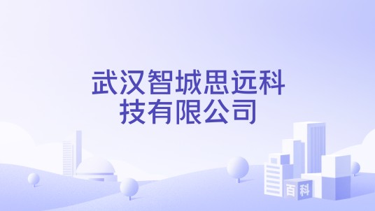 武汉智城思远科技有限公司