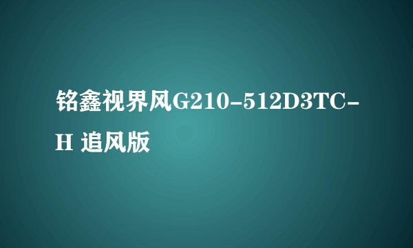铭鑫视界风G210-512D3TC-H 追风版