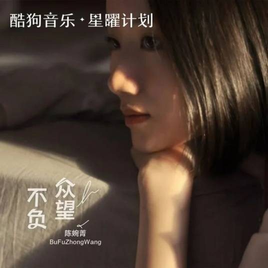 不负众望（陈婉菁演唱歌曲）
