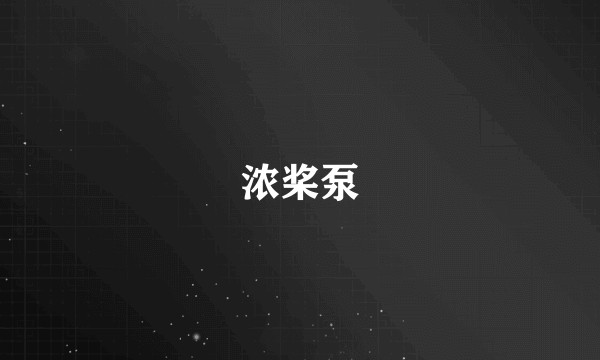 浓桨泵