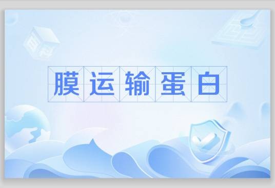膜运输蛋白