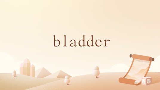 bladder