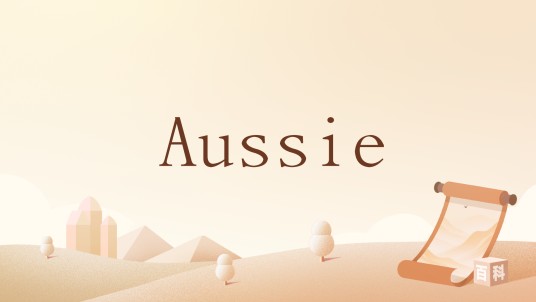 Aussie（英语单词）