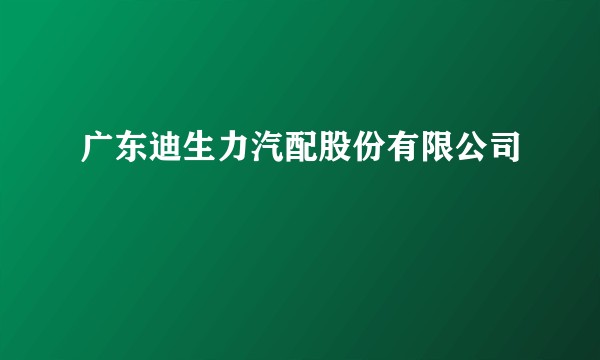 广东迪生力汽配股份有限公司