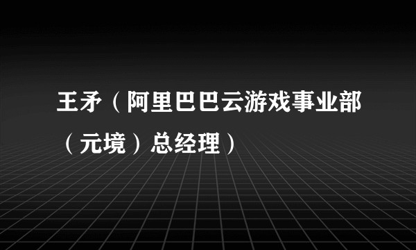 王矛（阿里巴巴云游戏事业部（元境）总经理）