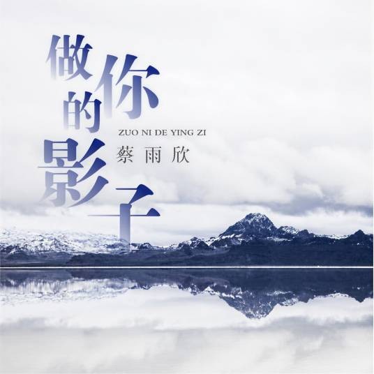做你的影子（蔡雨欣演唱歌曲）