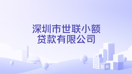 深圳市世联小额贷款有限公司