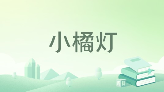 小橘灯（2021年南方出版社出版的图书）