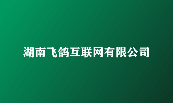 湖南飞鸽互联网有限公司
