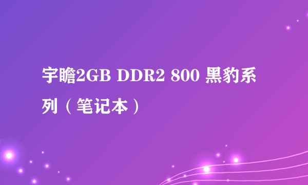 宇瞻2GB DDR2 800 黑豹系列（笔记本）