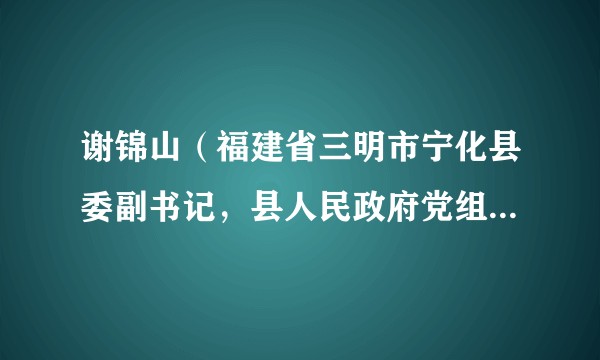 谢锦山（福建省三明市宁化县委副书记，县人民政府党组书记、县长）