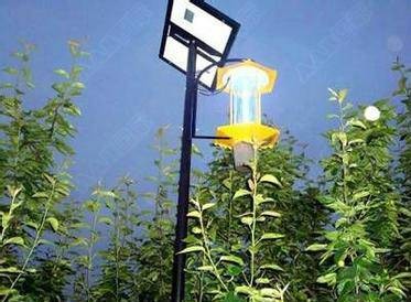 太阳能LED杀虫灯