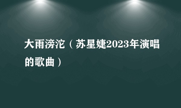 大雨滂沱（苏星婕2023年演唱的歌曲）