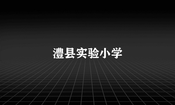 澧县实验小学