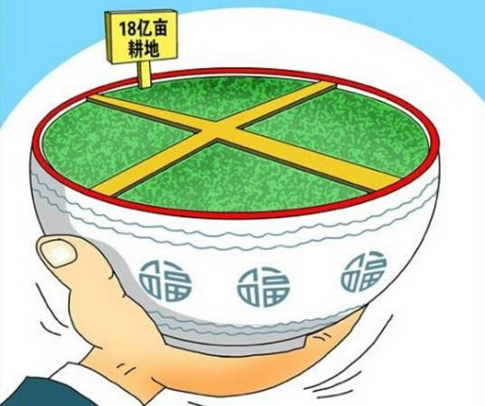 永久基本农田