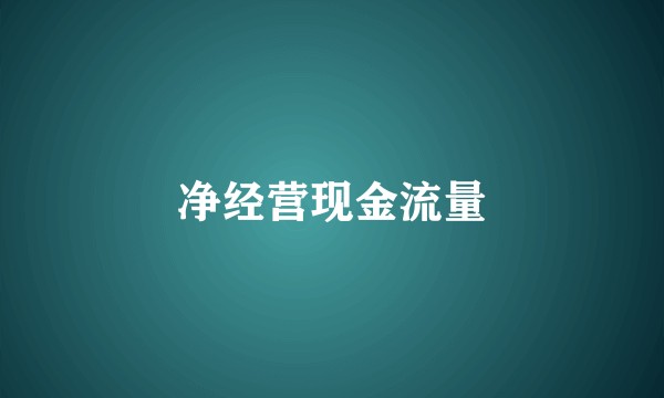净经营现金流量