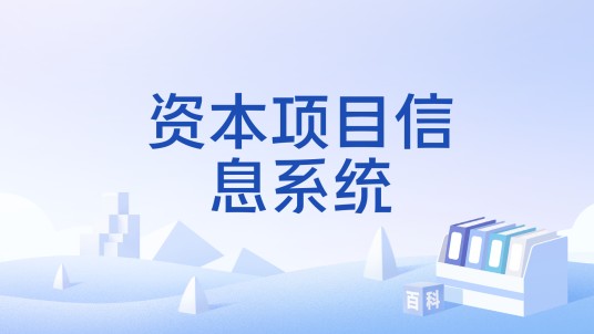 资本项目信息系统