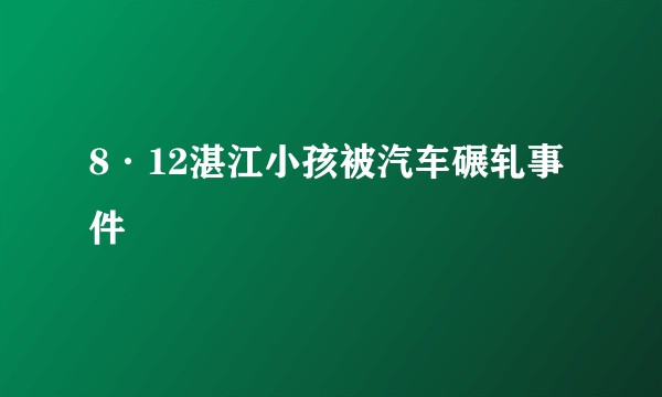 8·12湛江小孩被汽车碾轧事件