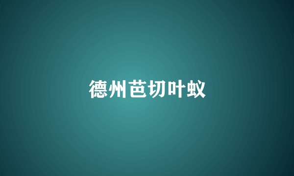 德州芭切叶蚁