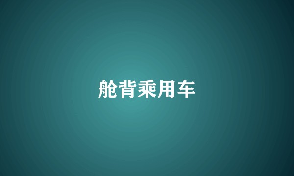 舱背乘用车
