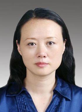 林锐(四川天府新区党工委委员、纪检监察工委书记)