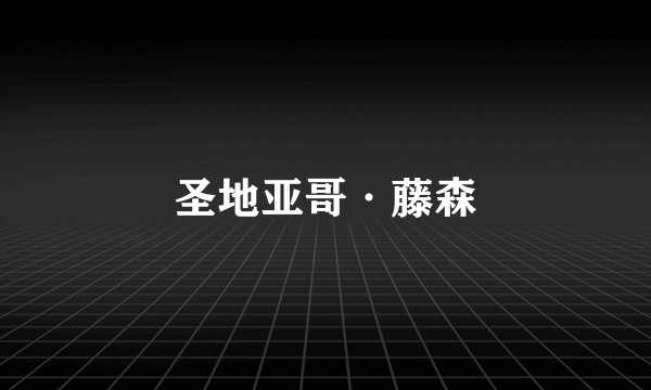 圣地亚哥·藤森