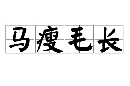 马瘦毛长