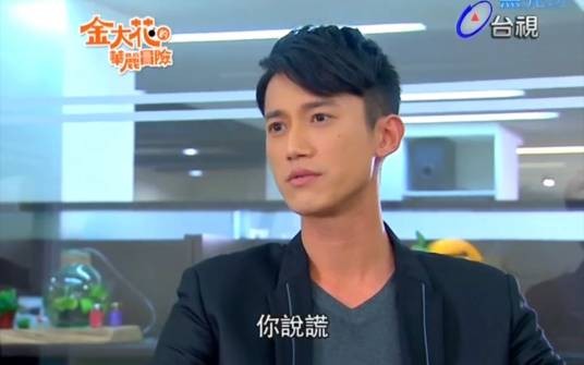 欧阳泰（电视剧《金大花的华丽冒险》中的角色）