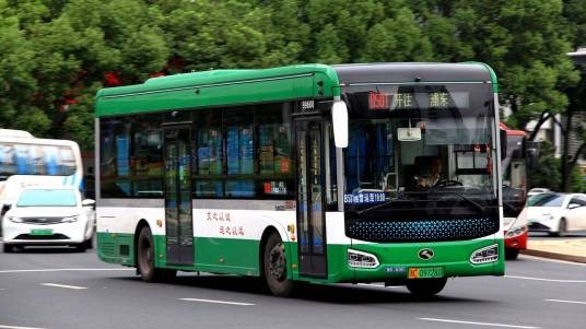 温州公交B501路