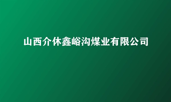 山西介休鑫峪沟煤业有限公司