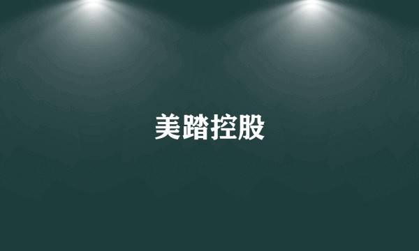 美踏控股