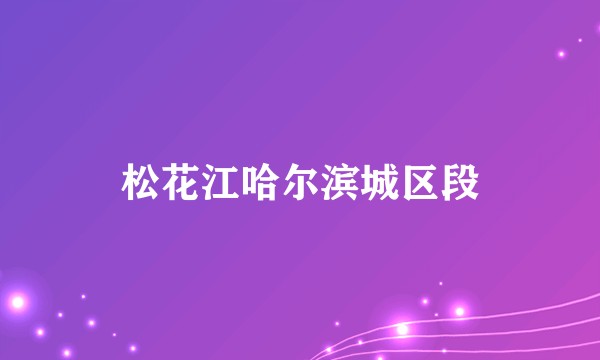 松花江哈尔滨城区段