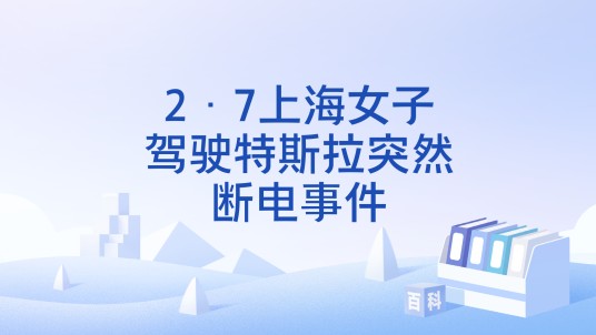 2·7上海女子驾驶特斯拉突然断电事件