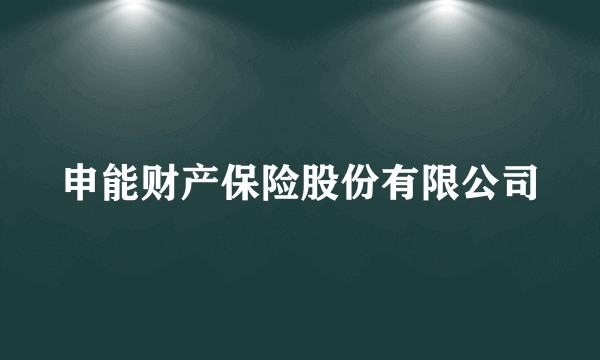 申能财产保险股份有限公司