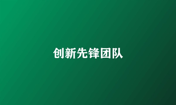 创新先锋团队