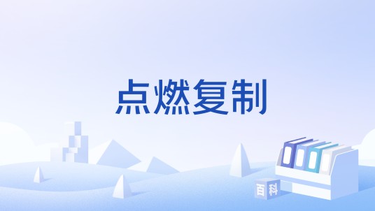 点燃复制