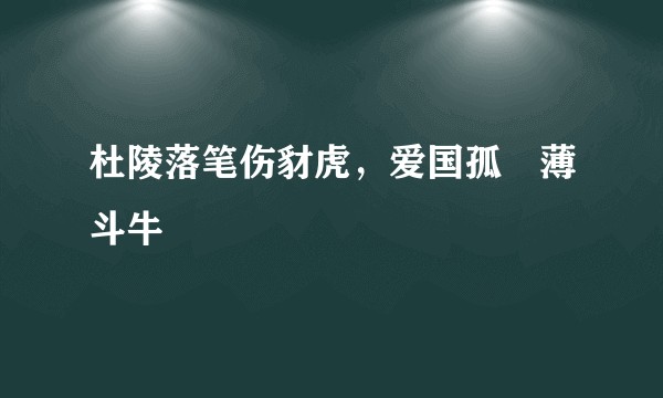 杜陵落笔伤豺虎，爱国孤悰薄斗牛