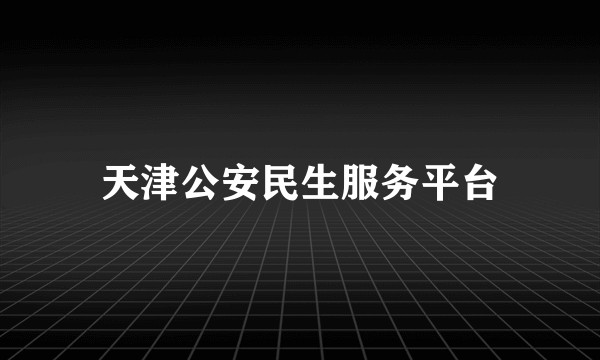 天津公安民生服务平台
