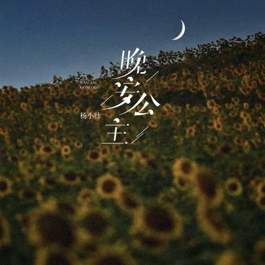 晚安公主（杨小壮演唱的歌曲）