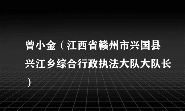 曾小金（江西省赣州市兴国县兴江乡综合行政执法大队大队长）