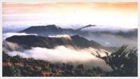 大洋山岛