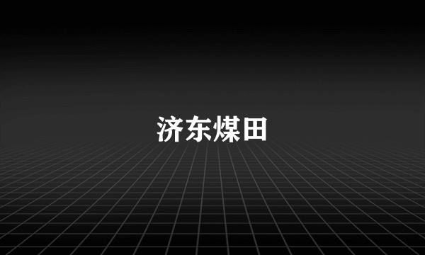济东煤田