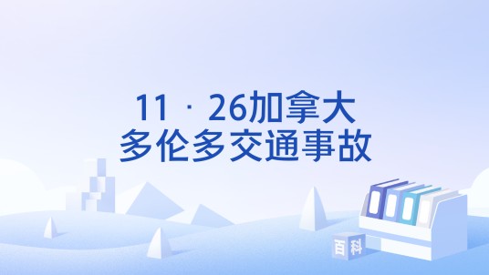 11·26加拿大多伦多交通事故